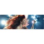 20-11-2013 - mcs_marketing - Andrea Berg - banner.jpg